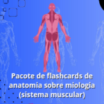 20230120_191314_0000